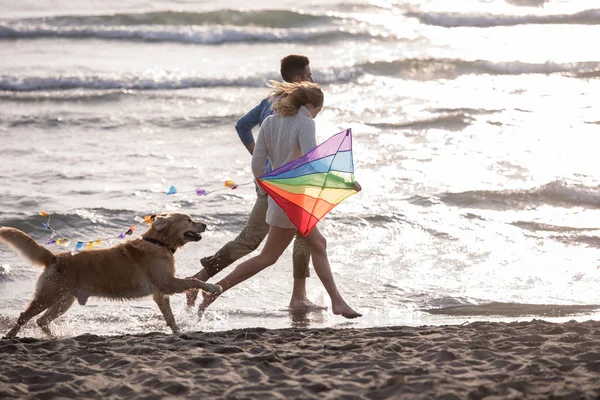 Jong Paar Plezier Spelen Met Een Hond Kite Het Strand — Stockfoto