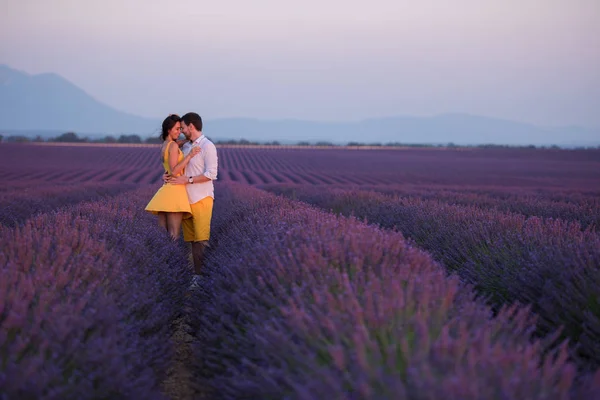紫ラベンダー花フィールド キスのカップルし サンセットのロマンチックな時間を持っています — ストック写真