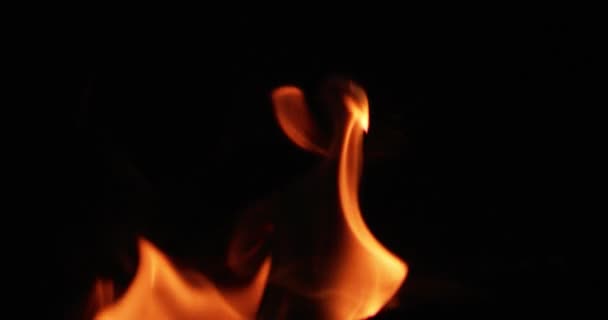 Igniting Hot Flame Tongues Black Background — Stock Video