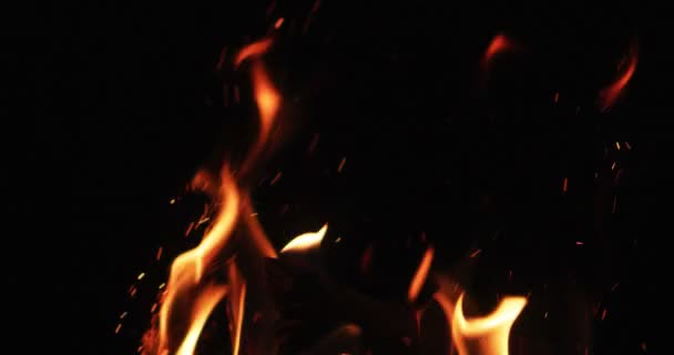 Antända Hot Flame Tungor Svart Bakgrund — Stockvideo