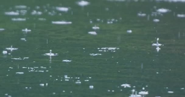 スローモーションで湖の表面に雨粒します — ストック動画