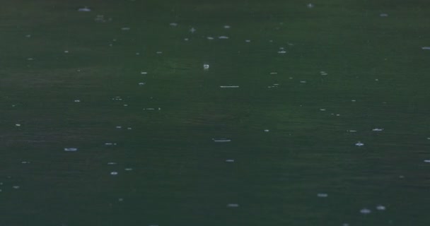 Σταγόνες Βροχής Στην Επιφάνεια Της Λίμνης Αργή Κίνηση — Αρχείο Βίντεο