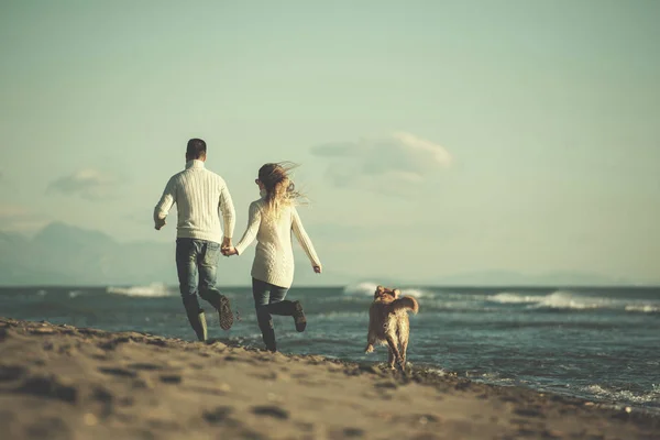 Par Springer Stranden Håller Sina Händer Med Hund Autmun Dag — Stockfoto