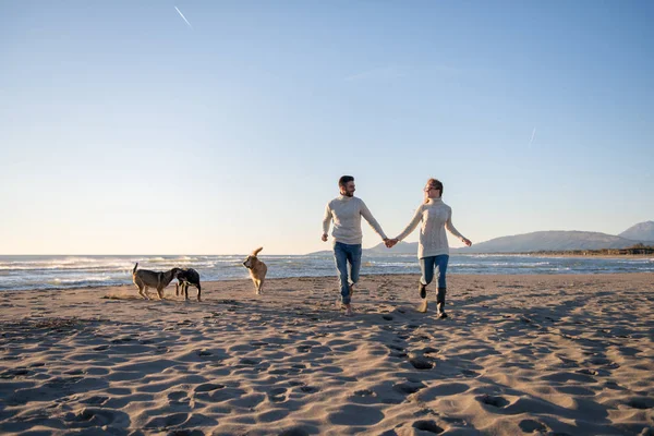 犬と手をつないでビーチを走るカップル秋の日 — ストック写真