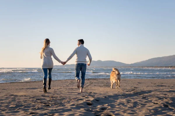 Een Paar Rennen Het Strand Houden Hun Handen Met Hond — Stockfoto