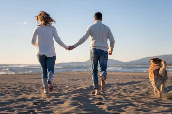 Pareja Corriendo Playa Sosteniendo Sus Manos Con Perro Día Autmun —  Fotos de Stock