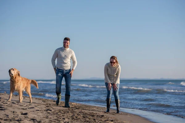 Casal Correndo Praia Segurando Mãos Com Cão Dia Outono — Fotografia de Stock