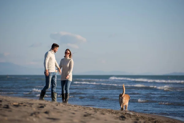 犬と手をつないでビーチを走るカップル秋の日 — ストック写真