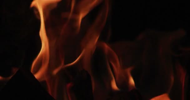 Antända Hot Flame Tungor Svart Bakgrund — Stockvideo