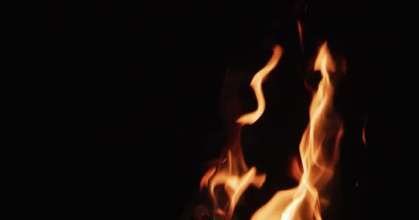 Igniting Hot Flame Tongues Black Background — Stock Video