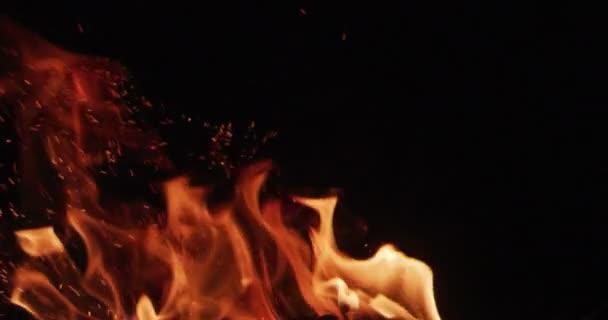 Igniting Hot Flame Tongues Black Background — Stock Video