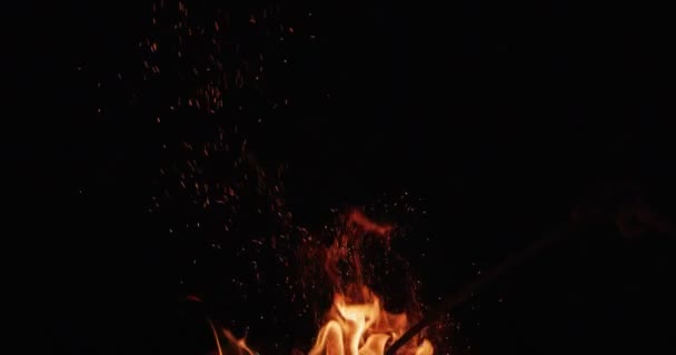 Zünden Heißer Flammenzungen Auf Schwarzem Hintergrund — Stockvideo