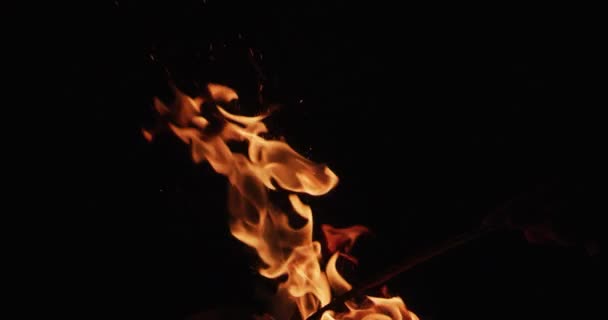 Igniting Hot Flame Tongues Black Background — Stock Video