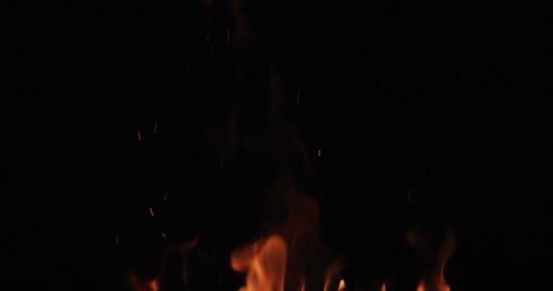 Зажигание Горячих Огненных Языков Черном Фоне — стоковое видео