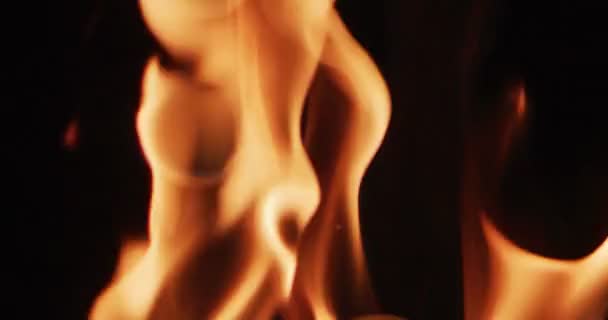 在黑色背景上点燃热火焰舌 — 图库视频影像