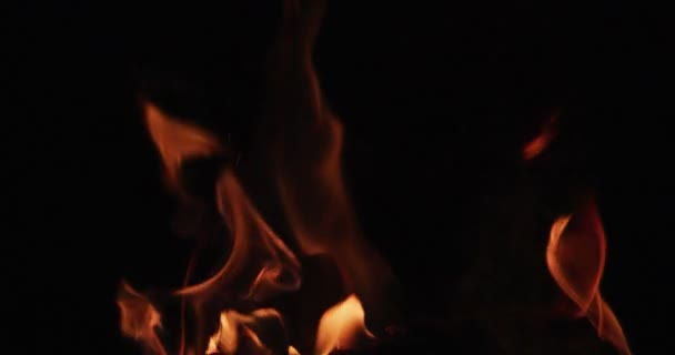 Igniting Hot Flame Tongues Black Background — Stock Video