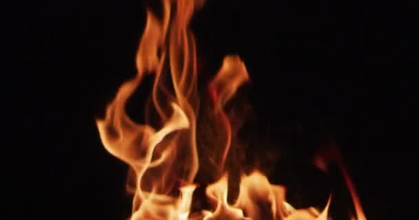 Igniting Hot Flame Tongues Black Background — Stock Video