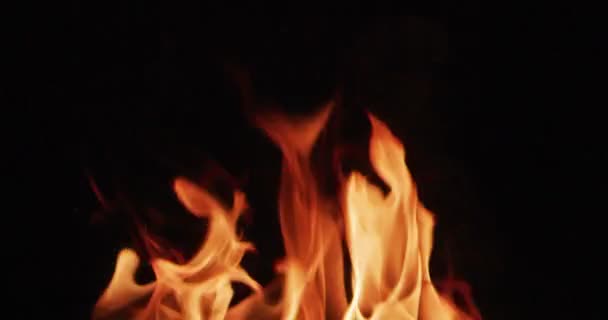 Igniting Hot Flame Tongues Black Background — Stock Video