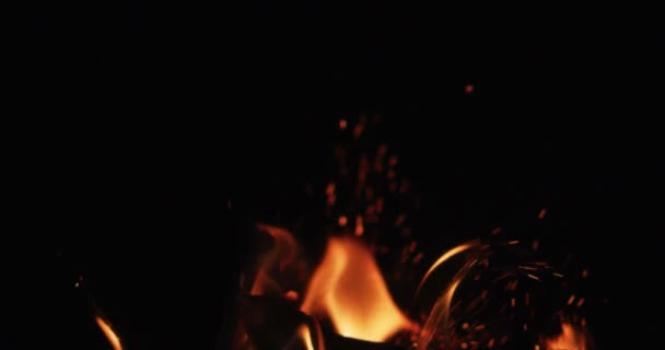 黒い背景に熱い炎の舌に火をつける — ストック動画