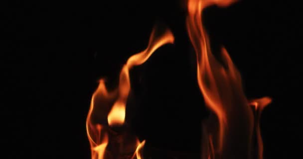 在黑色背景上点燃热火焰舌 — 图库视频影像