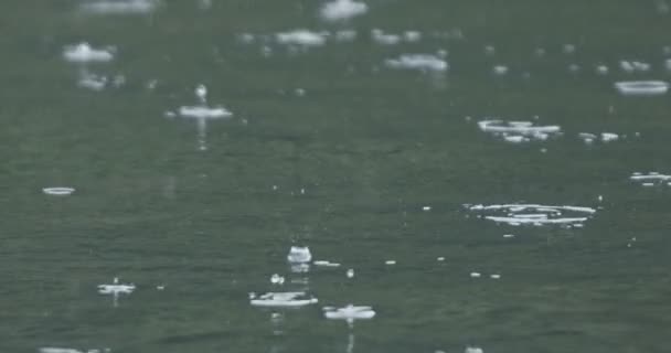 Regnet Droppar Sjön Yta Slow Motion — Stockvideo