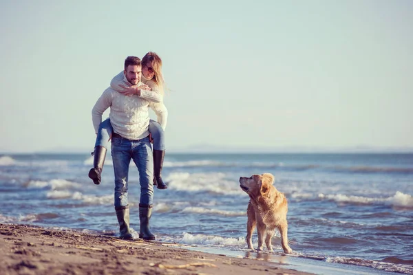 Par Springer Stranden Håller Sina Händer Med Hund Autmun Dag — Stockfoto