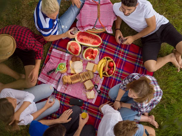 ピクニック時間飲み物と食べ物リバービュー銀行トップの美しい自然の中を楽しんでいる若い友人のグループ — ストック写真