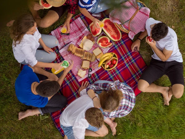 Grup Genç Arkadaşlar Piknik Zamanı Içki Nehir Banka Iyi Görünüm — Stok fotoğraf