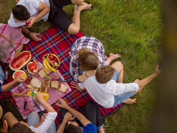 Top View Group Young Friends Enjoying Picnic Time Drinks Food — Stock Photo, Image