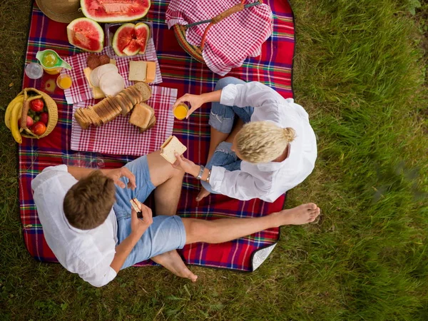 Pár Piknik Szabadidő Ülve Kockás Szerelem — Stock Fotó