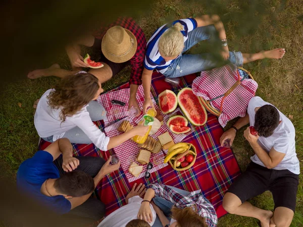 Vista Superior Grupo Jóvenes Amigos Disfrutando Hora Del Picnic Bebidas —  Fotos de Stock