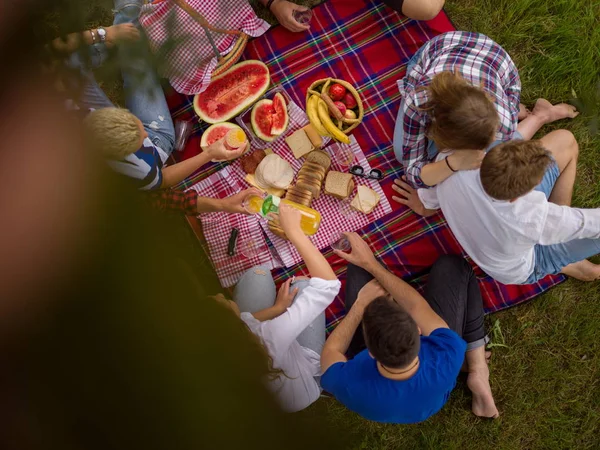 Ovanifrån Grupp Unga Vänner Njuter Picknick Tid Drinkar Och Mat — Stockfoto