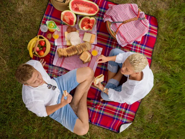 Pareja Amor Disfrutando Tiempo Picnic Mientras Está Sentado Cuadros —  Fotos de Stock