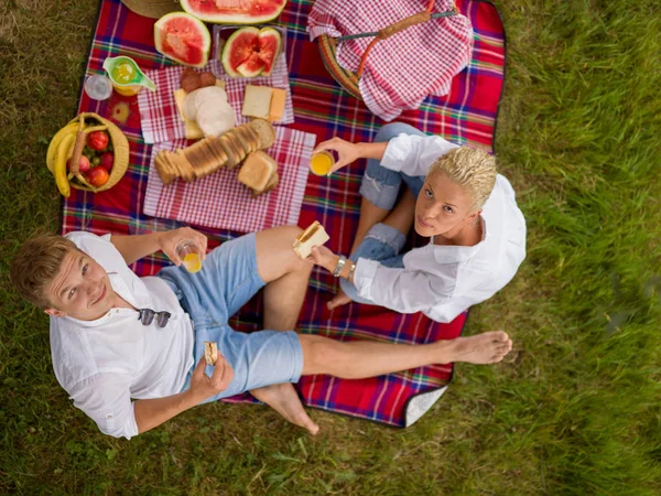 Pár Piknik Szabadidő Ülve Kockás Szerelem — Stock Fotó