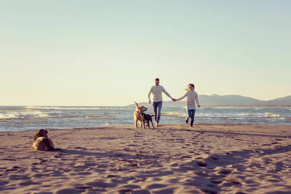 Pareja Corriendo Playa Sosteniendo Sus Manos Con Perro Día Autmun — Foto de Stock