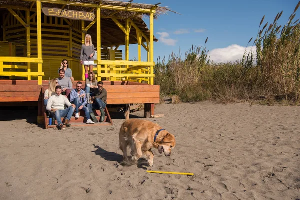 Happy Group Friends Hanging Out Beach House Fun Drinking Beer — стоковое фото