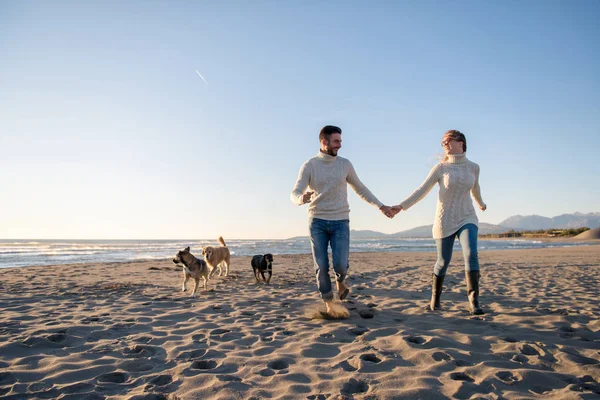 犬と手をつないでビーチを走るカップル秋の日 — ストック写真