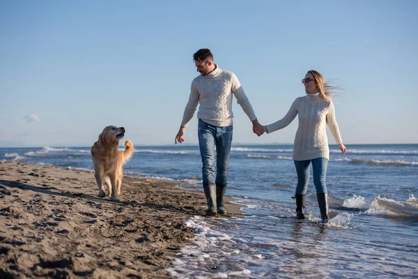Plajda koşan çift, sonbahar gününde köpekle el ele tutuşuyor.