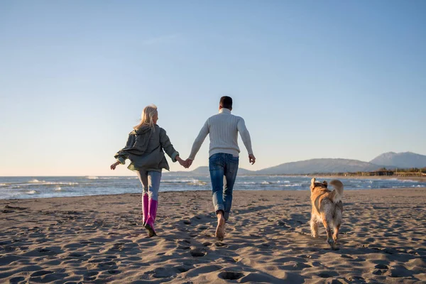 Coppia Che Corre Sulla Spiaggia Tenendo Mani Con Cane Giorno — Foto Stock