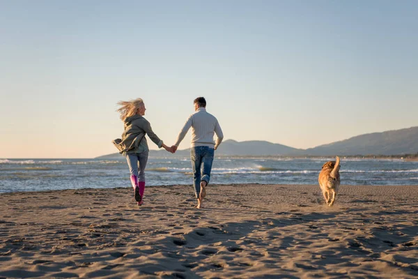 Пара Біжить Пляжі Тримаючи Руки Собакою День Боєприпасів — стокове фото