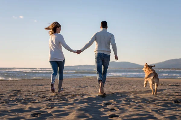 犬と手をつないでビーチを走るカップル秋の日 — ストック写真