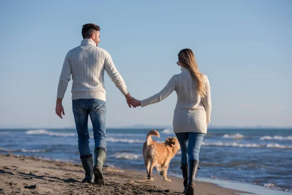 Para Biegająca Plaży Trzymająca Się Ręce Psem Dniu Autmun — Zdjęcie stockowe