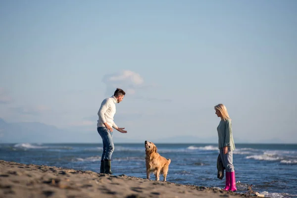 Casal Correndo Praia Segurando Mãos Com Cão Dia Outono — Fotografia de Stock