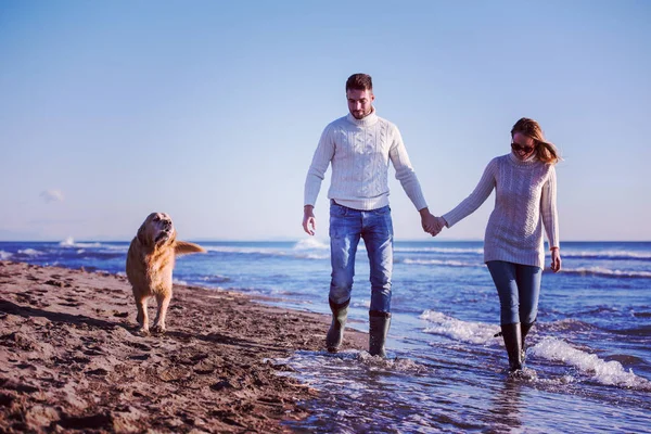 Para Biegająca Plaży Trzymająca Się Ręce Psem Dniu Autmun — Zdjęcie stockowe