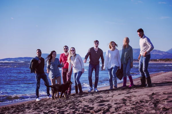 Grupo Jóvenes Amigos Emocionados Saltando Juntos Soleada Playa Otoño —  Fotos de Stock