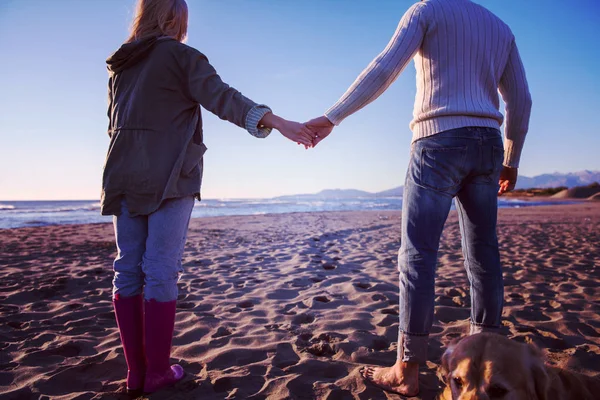 Pareja Corriendo Playa Sosteniendo Sus Manos Con Perro Día Autmun — Foto de Stock