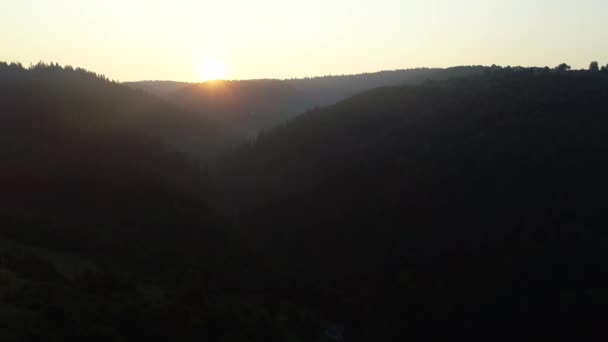 Vista Aérea Uma Floresta Pinheiros Montanhas Selvagens Belo Nascer Sol — Vídeo de Stock