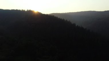 dağ çam ağacı orman ile havadan görünümü güzel gündoğumu üzerinde