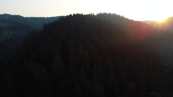 Aerial View Mountain Pine Tree Forest Beautiful Sunrise — Stock Video