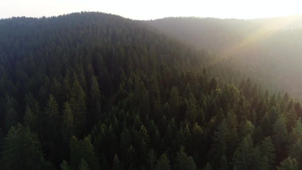 Flygfoto Berg Med Tallskog Vacker Soluppgång — Stockvideo